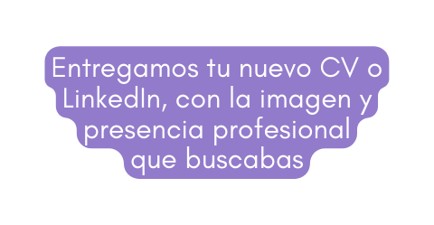 Entregamos tu nuevo CV o LinkedIn con la imagen y presencia profesional que buscabas