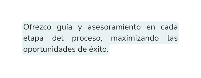 Ofrezco guía y asesoramiento en cada etapa del proceso maximizando las oportunidades de éxito