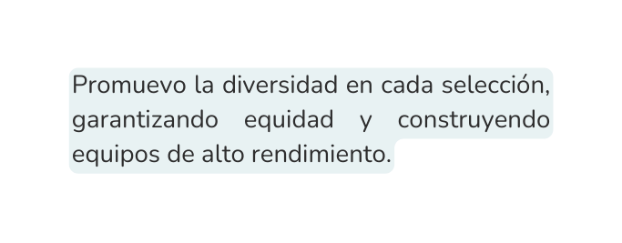 Promuevo la diversidad en cada selección garantizando equidad y construyendo equipos de alto rendimiento